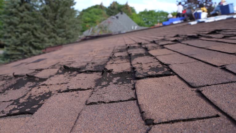 Best Wood Shake Roofing  in Bessemer City, NC