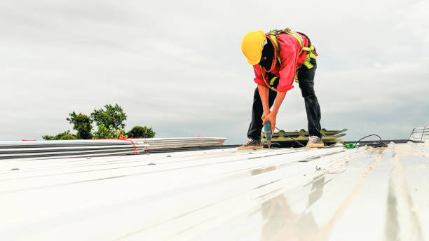 Best Skylight Installation and Repair  in Bessemer City, NC
