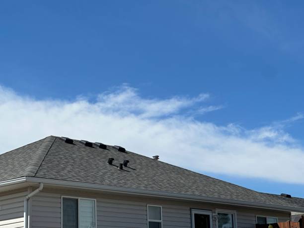 Best Roof Coating and Sealing  in Bessemer City, NC